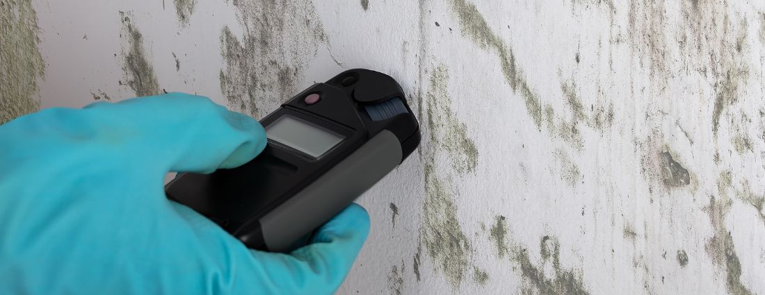 5 Reasons To Care About Mold Detection Removal Disaster